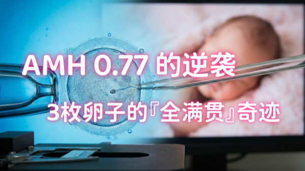 AMH 0.77 试管婴儿成功案例：如何靠 3 枚卵子实现 100% 养囊与 PGT-A 过筛？